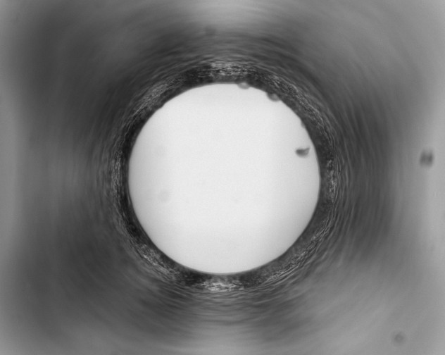 X0000103490756200810031605