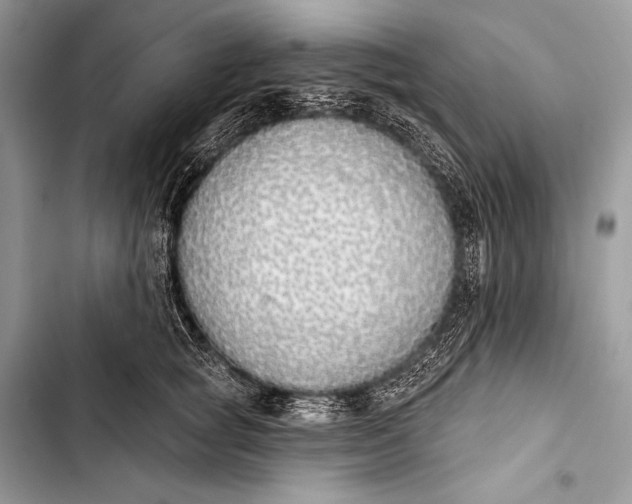 X0000103490757200810031605