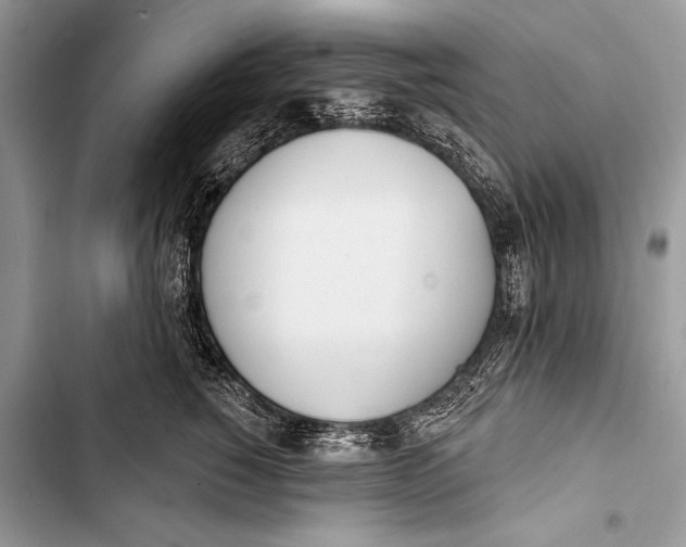 X0000103490760200810031605