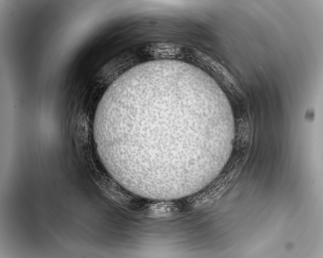 X0000103490761200810031605