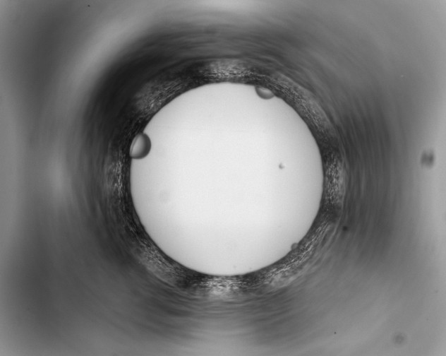 X0000103490762200810031605