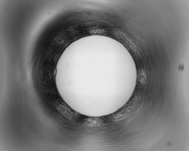 X0000103490763200810031605