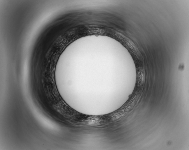 X0000103490764200810031605