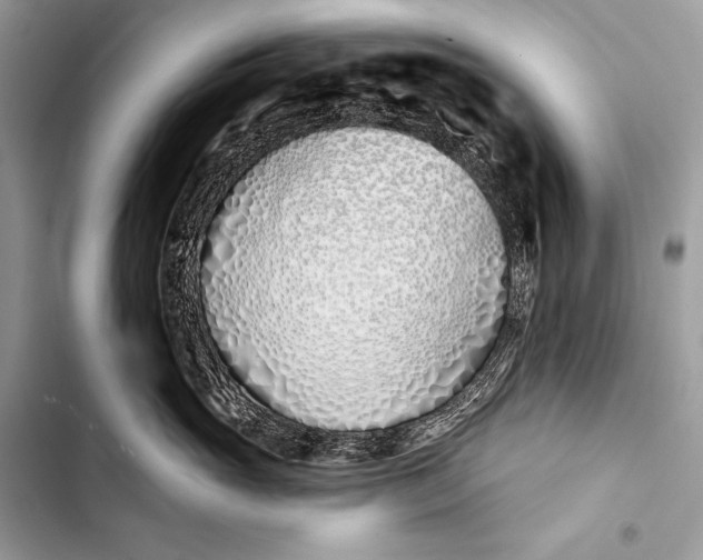 X0000103490765200810031605