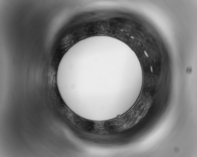 X0000103490766200810031605