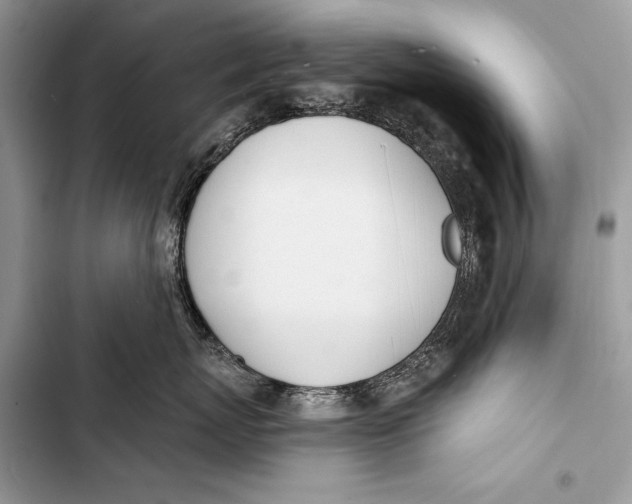 X0000103490767200810031605