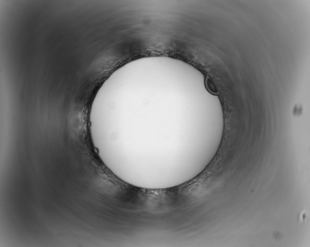 X0000103490768200810031605