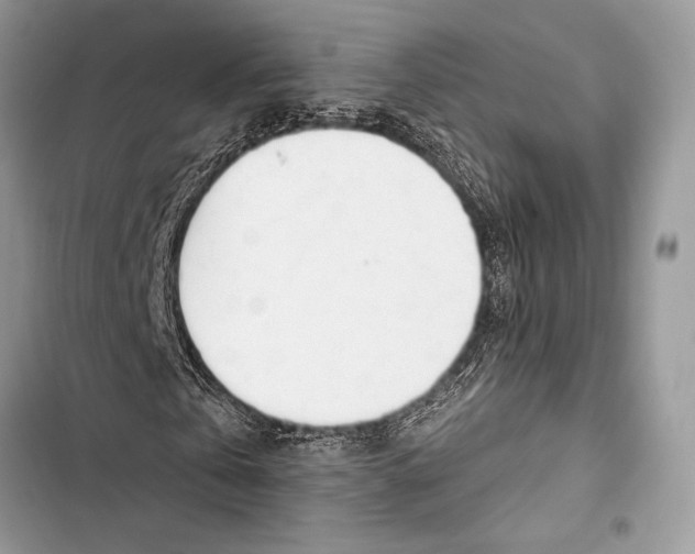 X0000103490769200810031605