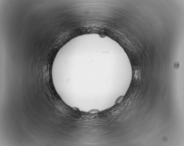 X0000103490771200810031605