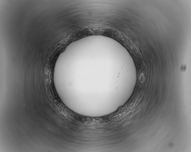 X0000103490772200810031605