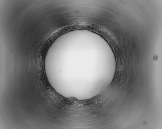 X0000103490773200810031605