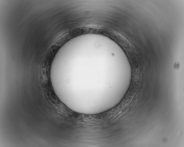 X0000103490774200810031605