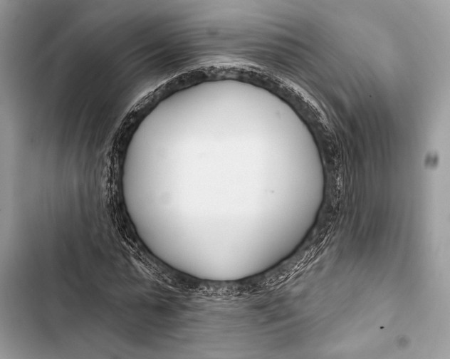 X0000103490775200810031605