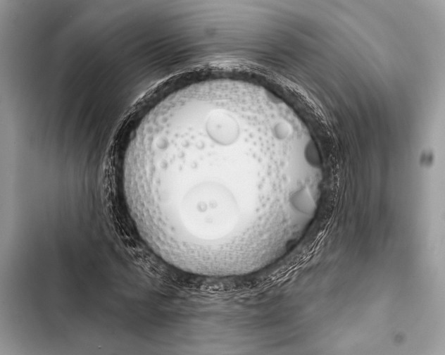 X0000103490776200810031605