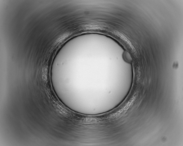 X0000103490777200810031605