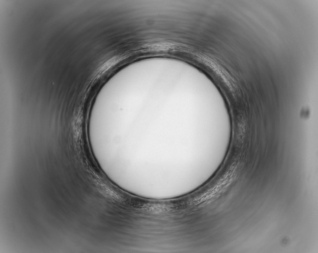 X0000103490778200810031605