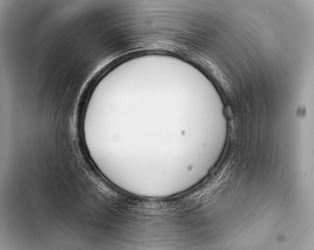 X0000103490780200810031605