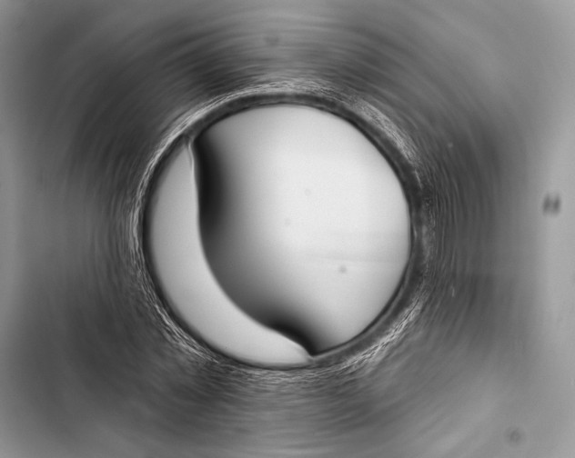 X0000103490781200810031605