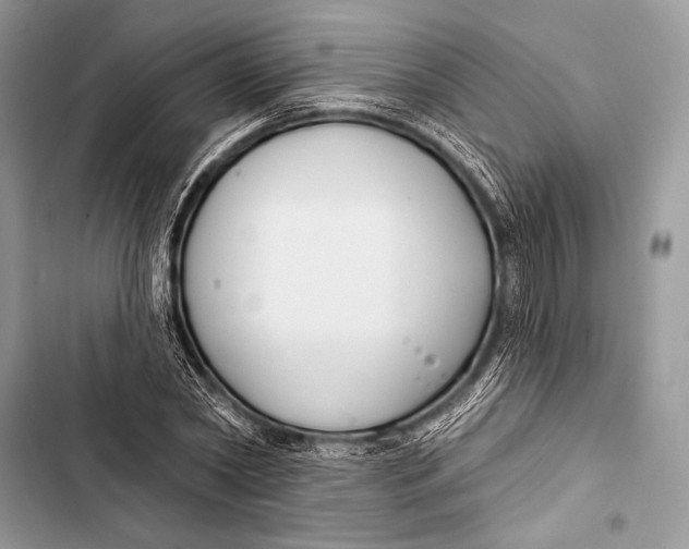 X0000103490782200810031605