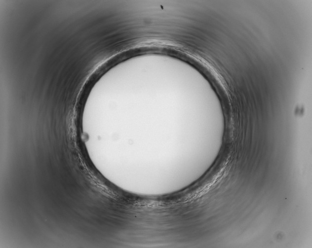 X0000103490783200810031605