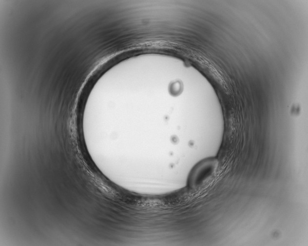 X0000103490784200810031605