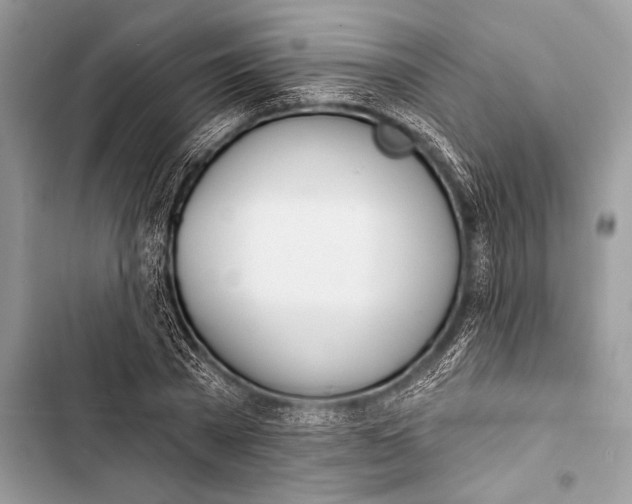 X0000103490785200810031605