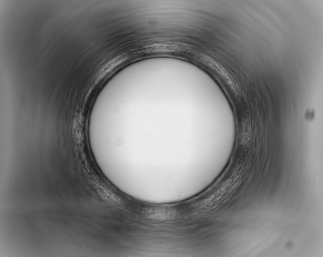 X0000103490786200810031605