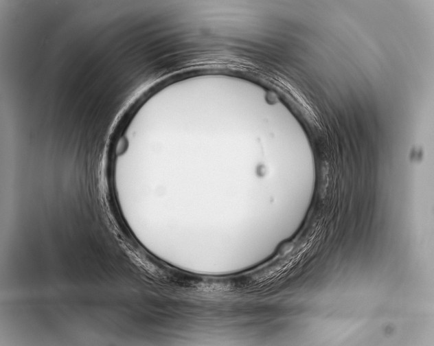 X0000103490788200810031604