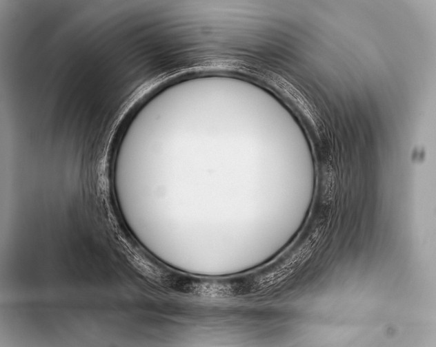 X0000103490789200810031604