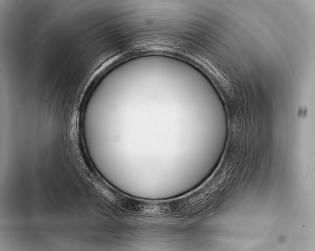 X0000103490790200810031604