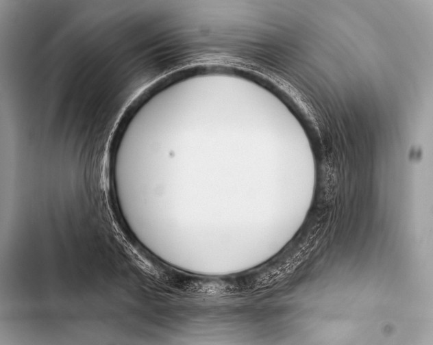 X0000103490791200810031604