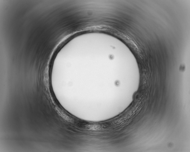 X0000103490792200810031604