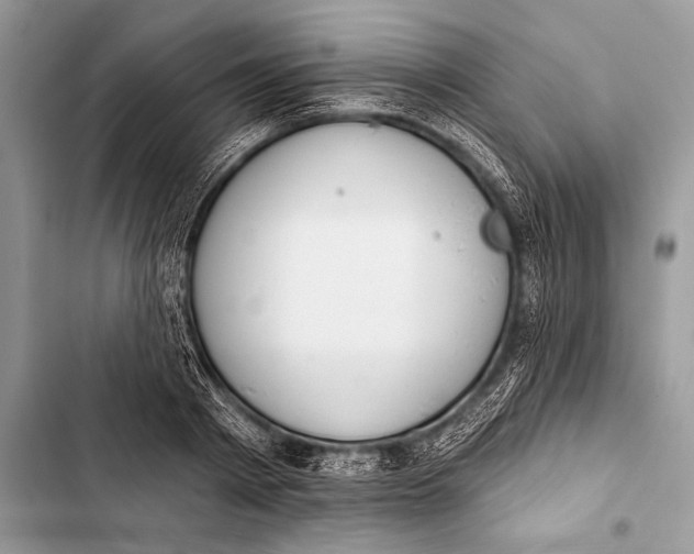 X0000103490793200810031604