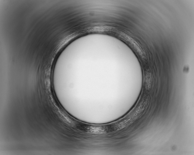 X0000103490794200810031604