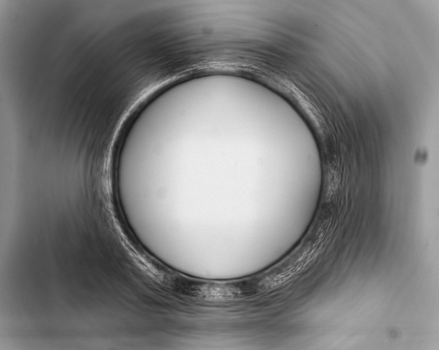 X0000103490795200810031604