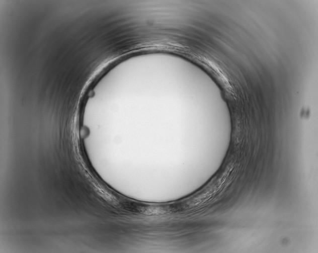 X0000103490796200810031604