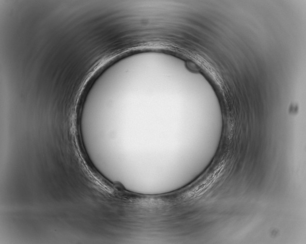 X0000103490797200810031604