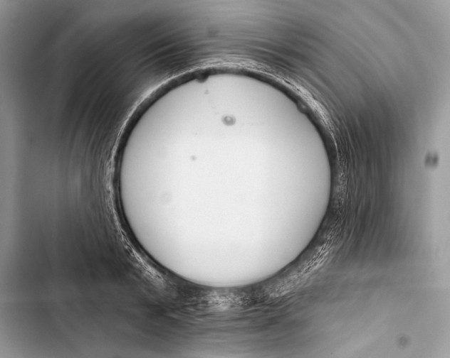 X0000103490799200810031604