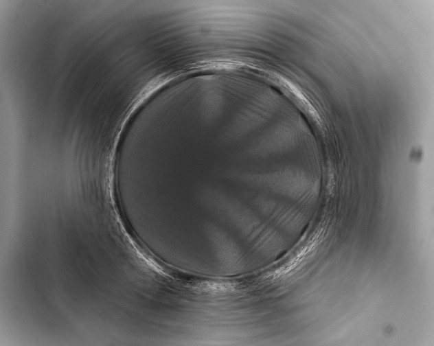 X0000103490802200810031604