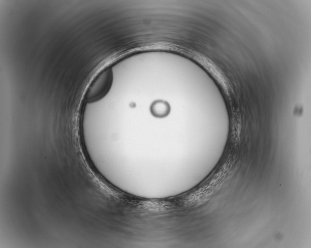 X0000103490805200810031604