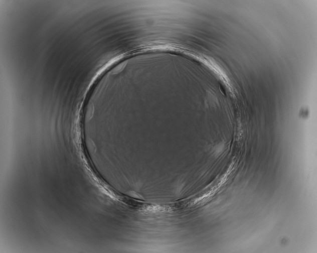 X0000103490806200810031604