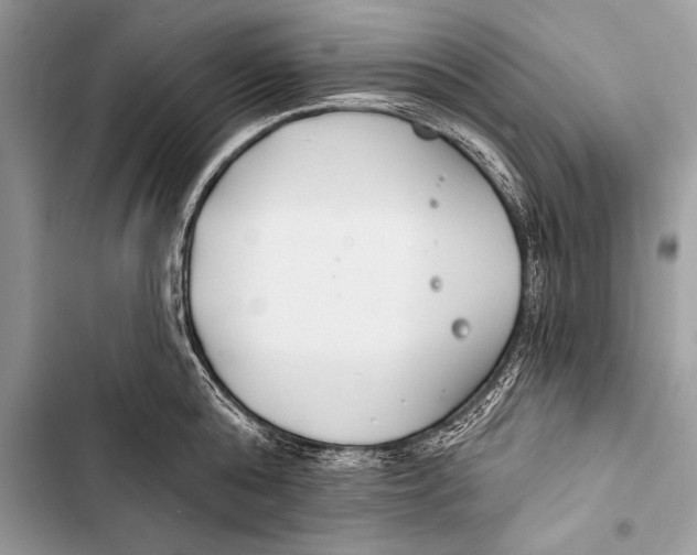 X0000103490808200810031604