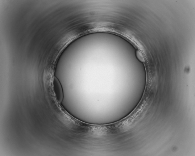 X0000103490809200810031604