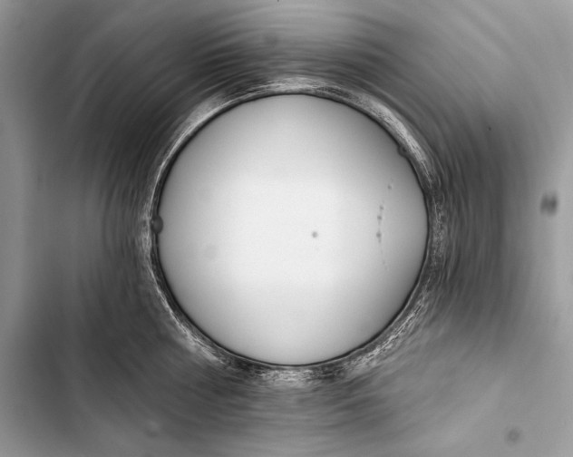 X0000103490810200810031604