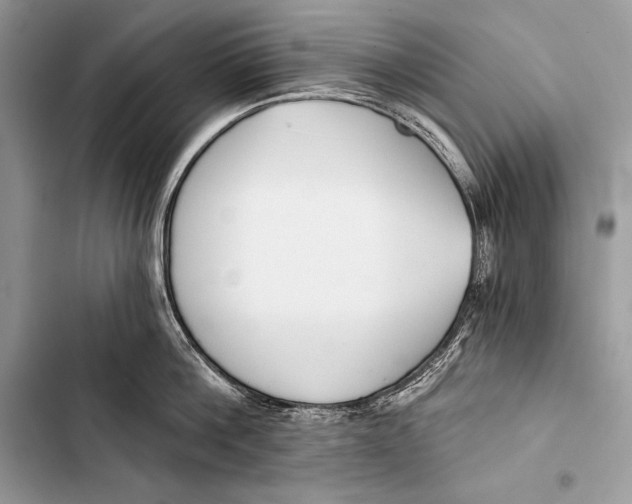 X0000103490812200810031604