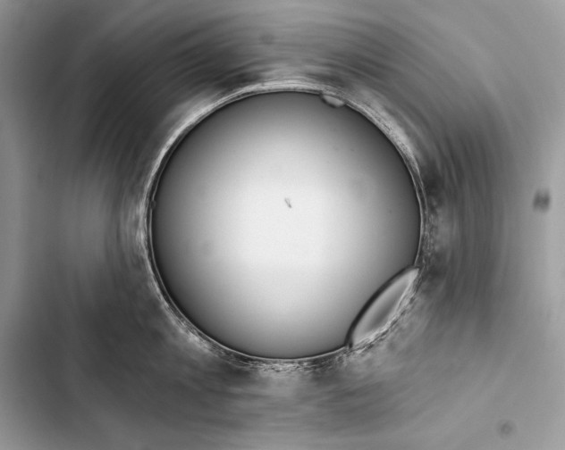 X0000103490813200810031604