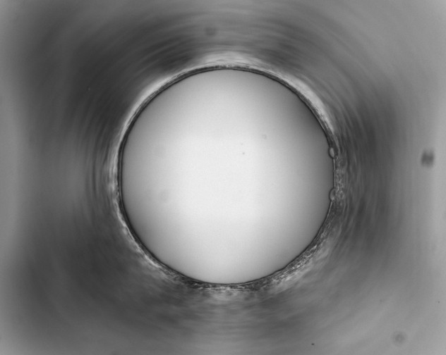 X0000103490815200810031604