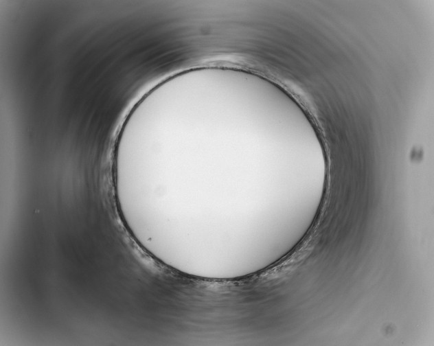 X0000103490816200810031604