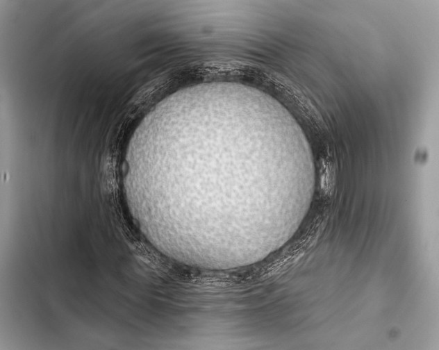 X0000103490819200810031603