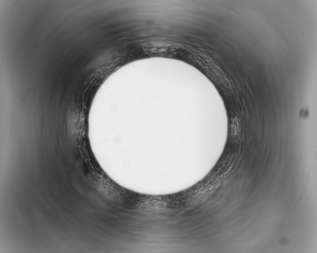 X0000103490820200810031603